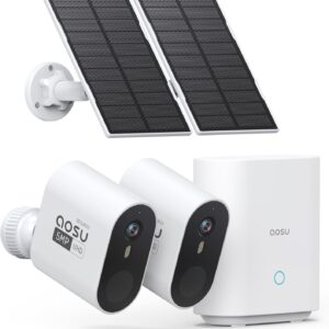 Security & Surveillance