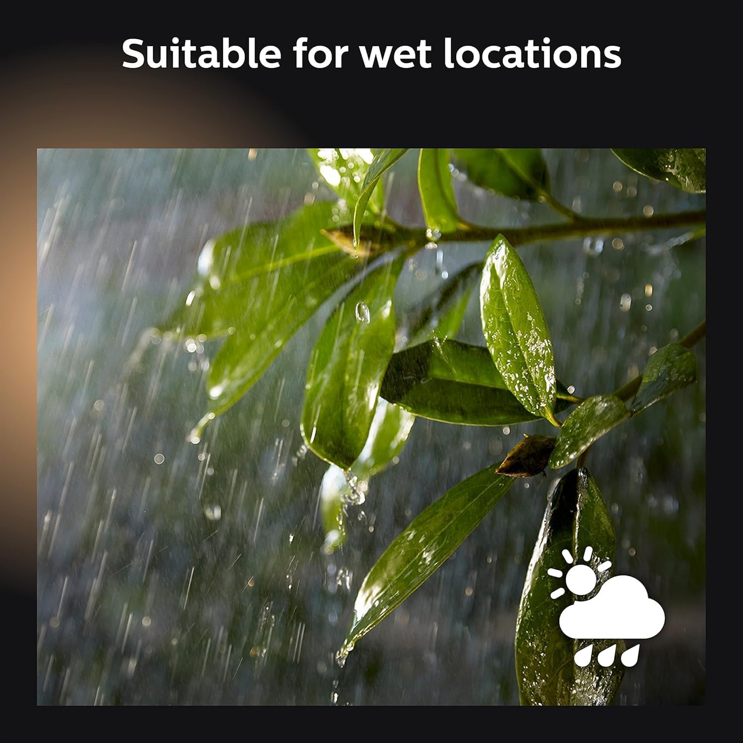 Lighting & Ambiance - Image 7