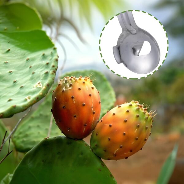 2Pcs Spoon Cactus Peeler, Multi-Function Pelador de Nopales Stainless Steel Cactus Peeler Tool Pelador de Papas Noodle Cutter Knife with Hole with Long Handle for Kitchen Gadgets Accessory - Image 6