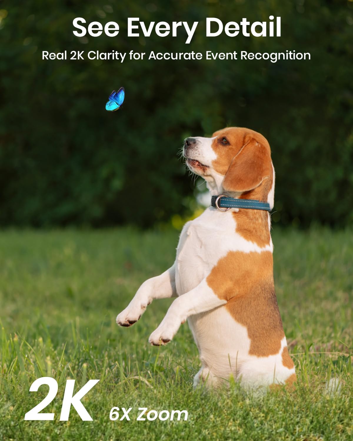 Security & Surveillance - Image 6