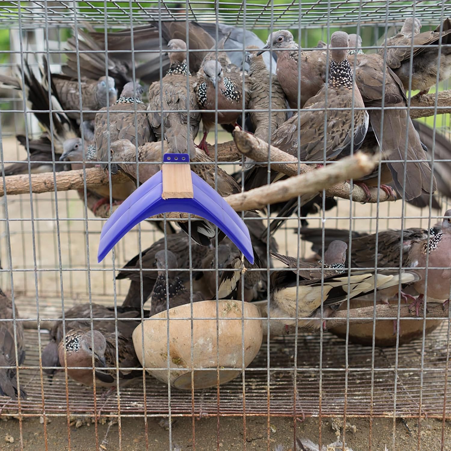 Mipcase Household Items Household Gadgets Home Stuff 12 pcs Dove Rest Pigeons Rest Stand Bird Dwelling Stand Plastic Bird Rest Frame Stand Lightweight Pigeons Household Gadgets Home Stuff Home Goods - Image 6