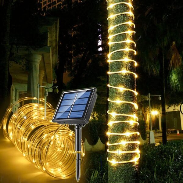 Lighting & Ambiance