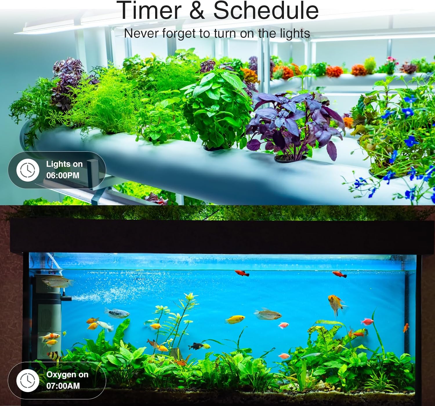 Smart Home Devices - Image 3