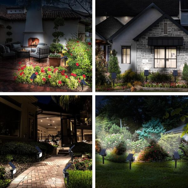 Lighting & Ambiance - Image 3